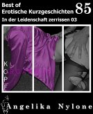 Erotische Kurzgeschichten - Best of (eBook, ePUB)