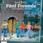 Fünf Freunde und die unheimliche Achterbahn / Fünf Freunde Bd.134 (1 Audio-CD)