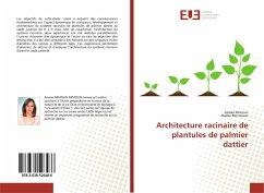 Architecture racinaire de plantules de palmier dattier - Mimoun, Asmaa;Bennaceur, Malika