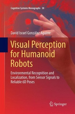 Visual Perception for Humanoid Robots - González Aguirre, David Israel