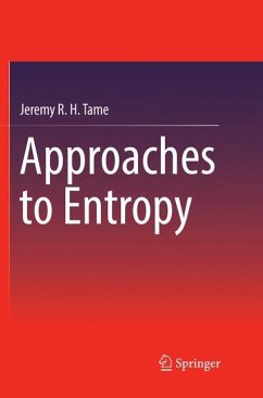 Approaches to Entropy - Tame, Jeremy R. H.