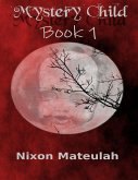 Mystery Child: Book 1 (eBook, ePUB)