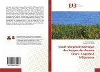 Etude Morphodynamique des berges des fleuves Chari - Logone à N'Djamena