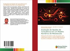 Avaliação de Opções de Turbulência em um Modelo Numérico de Mesoescala