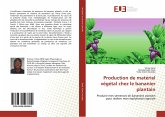 Production de matériel végétal chez le bananier plantain