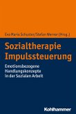 Sozialtherapie Impulssteuerung (eBook, ePUB)
