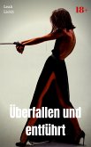 Überfallen und entführt (eBook, ePUB)