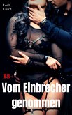 Vom Einbrecher genommen (eBook, ePUB)