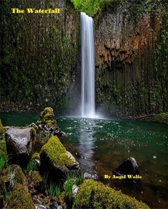 Cover The Waterfall (eBook, ePUB)