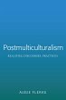 Postmulticulturalism (eBook, ePUB) - Bild 1