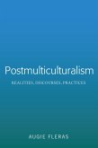 Postmulticulturalism (eBook, ePUB)