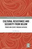 Cultural Resistance and Security from Below (eBook, ePUB)