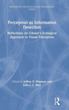 Perception as Information Detection