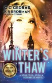 Winter's Thaw (Stilettos, Stoli & Scribbles, #2) (eBook, ePUB)