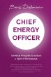 Chief Energy Officer - Bild 1