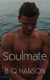 Soulmate (eBook, ePUB)