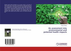 An assessment into environmental and potential health impacts - Sithole, Khetho