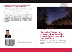 Secador Solar por conveccion forzada con adicion de calor por caldera