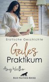 Geiles Praktikum   Erotische Geschichte (eBook, PDF)