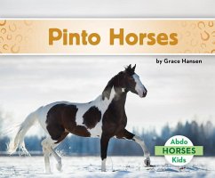 Pinto Horses - Hansen, Grace