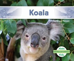 Koala - Hansen, Grace