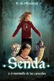 Senda y el murmullo de las caracolas: Novela juvenil de aventuras (a partir de 12 años)