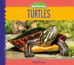 Cover Turtles