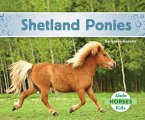 Shetland Ponies