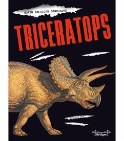 Triceratops - Suen