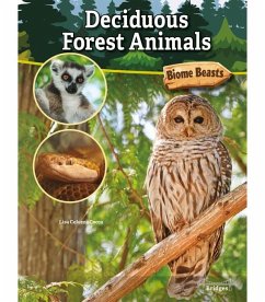 Deciduous Forest Animals - Cocca