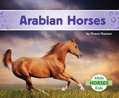 Arabian Horses - Hansen, Grace