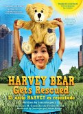 Harvey Bear Gets Rescued