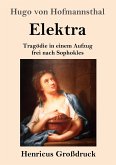 Elektra (Großdruck)