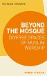 Beyond the Mosque (eBook, ePUB) - Bild 1