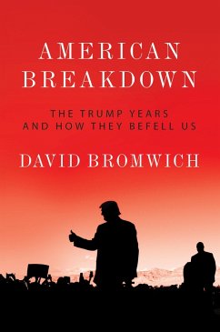 Cover American Breakdown (eBook, ePUB)