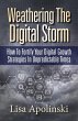 Weathering the Digital Storm (eBook,... - Bild 1