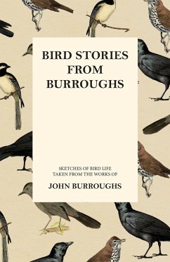 Bird Stories from Burroughs - Sketches of Bird Life Taken from the Works of John Burroughs - Burroughs, John