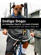 Indigo Dogs: 10 Common Traits, 10 Case... - Bild 1