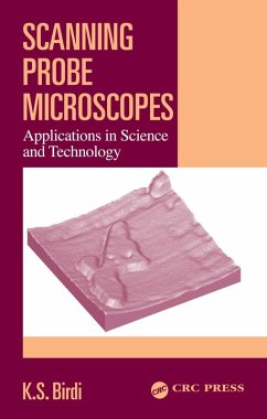 Scanning Probe Microscopes (eBook, ePUB) - Birdi, K. S.