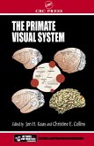The Primate Visual System (eBook, ePUB)