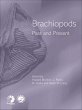 Brachiopods (eBook, ePUB) - Bild 1