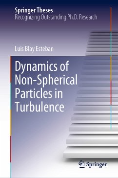 Dynamics of Non-Spherical Particles in Turbulence (eBook, PDF) - Blay Esteban, Luis