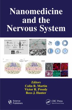 Cover Nanomedicine and the Nervous System (eBook, PDF)