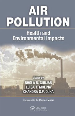 Air Pollution (eBook, PDF)