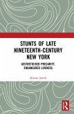 Stunts of Late Nineteenth-Century New York (eBook, ePUB)