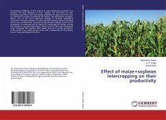Effect of maize+soybean intercropping on their productivity