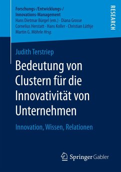 Bedeutung von Clustern für die Innovativität von Unternehmen - Terstriep, Judith
