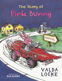 The Story of Pink Bunny