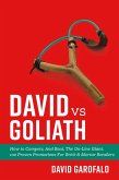 David vs Goliath (eBook, ePUB) David vs Goliath (eBook, ePUB)