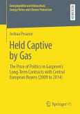 Held Captive by Gas (eBook, PDF)